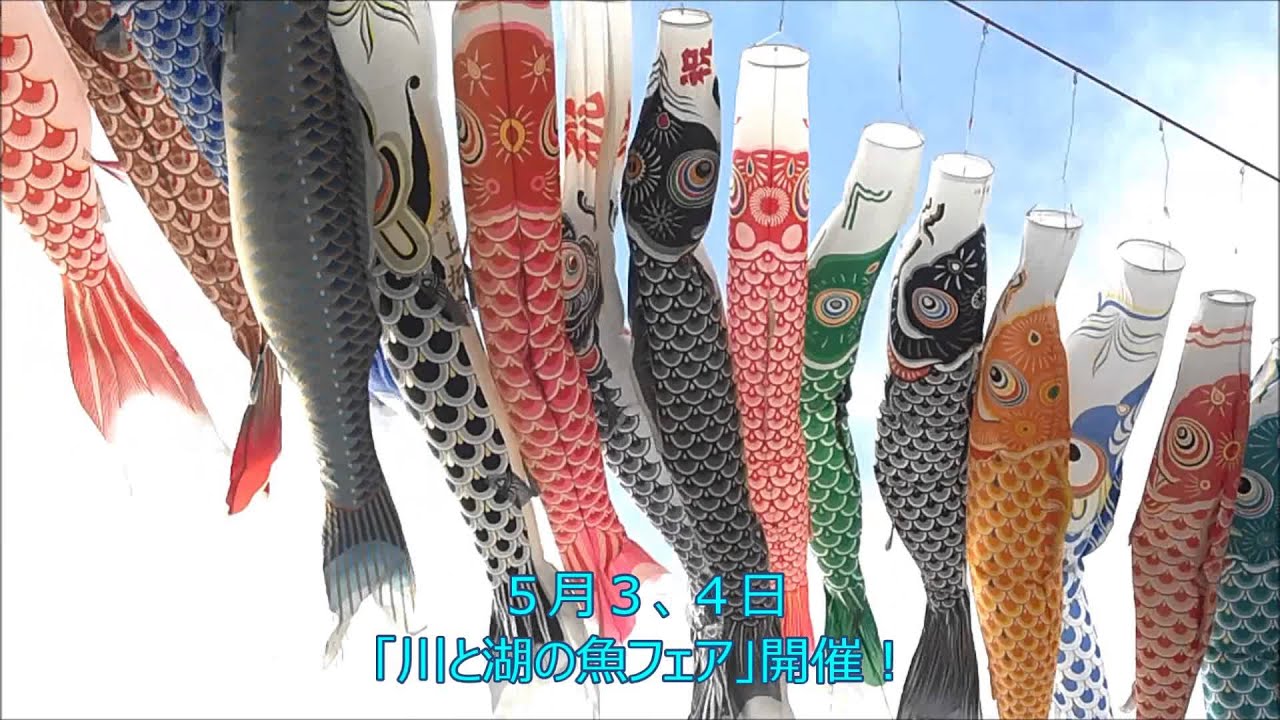 泳げ鯉のぼり相模川（2014年4月28日）