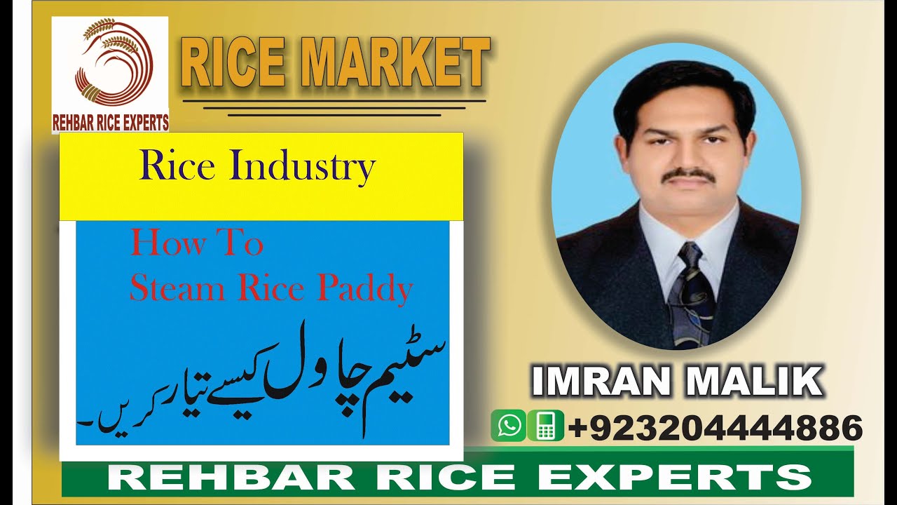 Rice Steam Process || Paddy Steaming || Ageing of Rice || Rice Steam