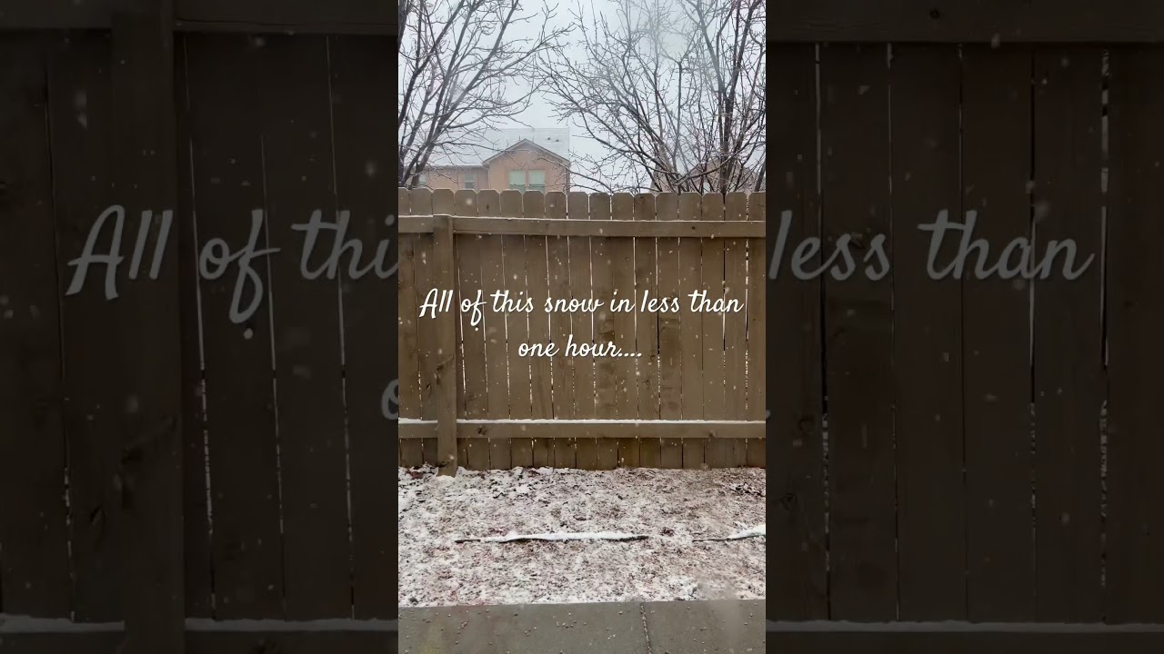 From this to this in less than one hour #snowday  #dayinthelifeofahomemaker #snowdays #snow #vlogs