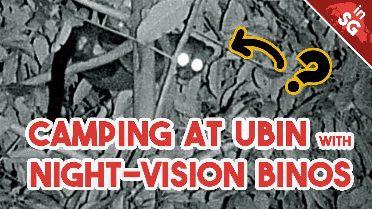 What Else Can 2 Guys Do At Night? - Night-Vision Binos at Ubin!