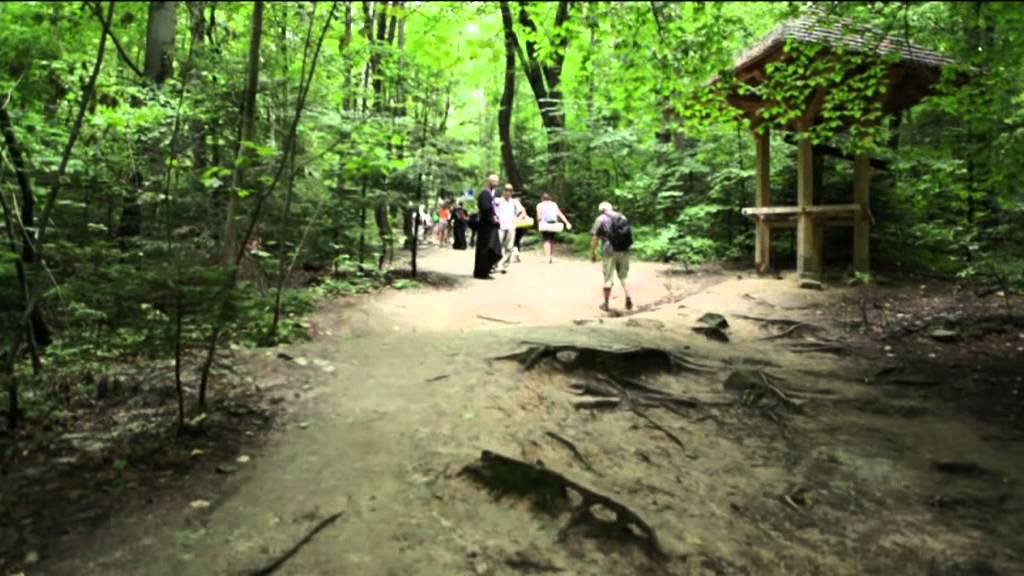 Lubelska Pielgrzymka 2011.VOB