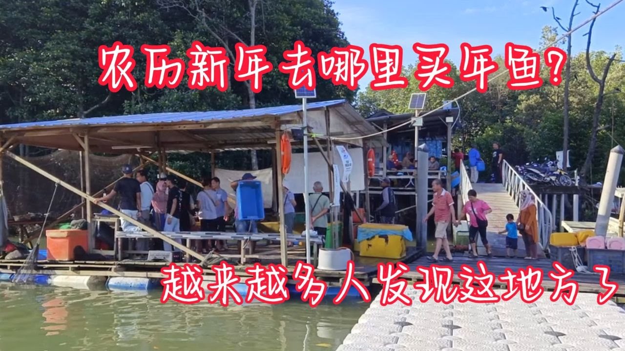 买年鱼的好去处 / 保证新鲜 / #渔村生活  / 都是当天捕当天卖的海鲜 / #年鱼 / Where To Buy Fish for Chinese New Year??