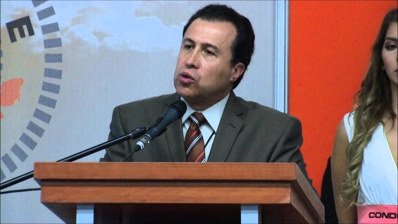 Electric&oacute;n 2015