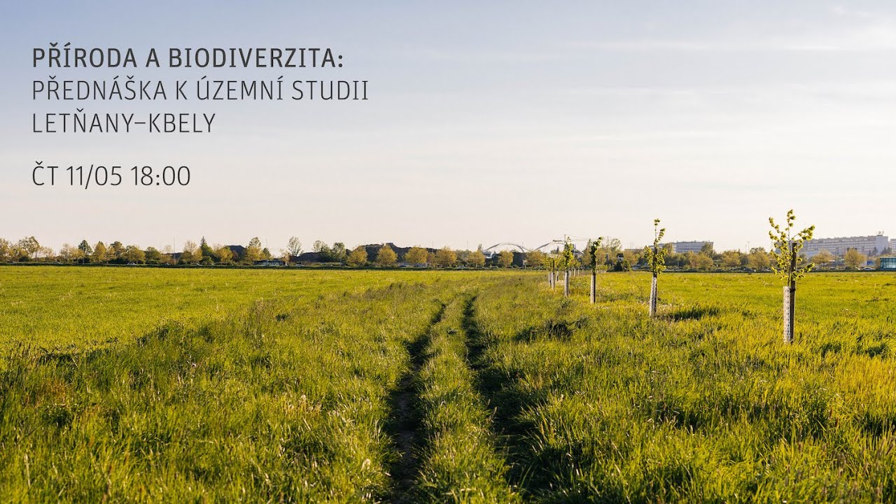 Příroda a biodiverzita: přednáška k územní studii Letňany–Kbely