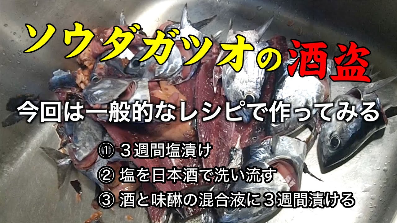 遠投カゴ釣りで釣ったマルソウダの内臓で作る酒盗【塩漬け三週間バージョン】