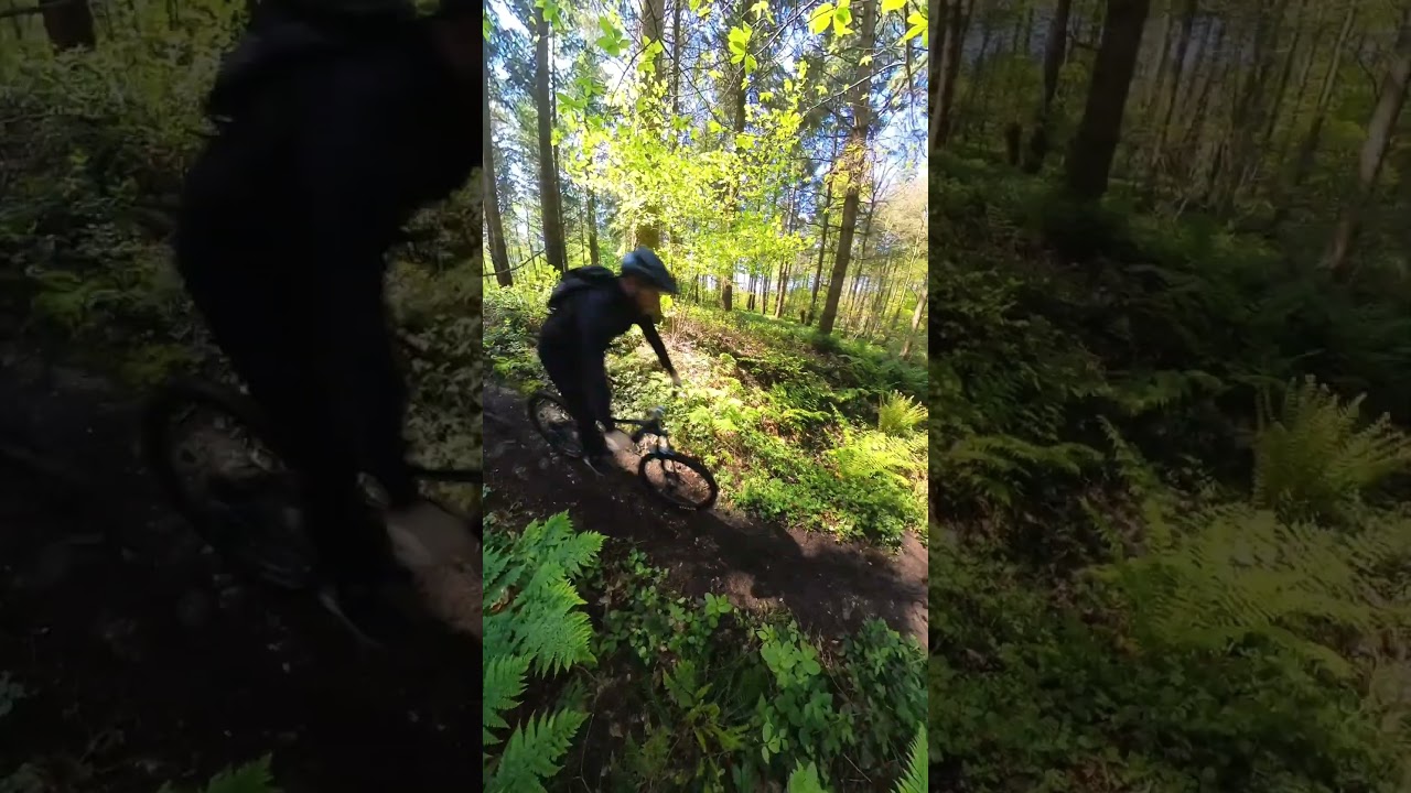 Covert Woods, Barham, Canterbury #mtb #insta360 #forest #woods #mountainbike