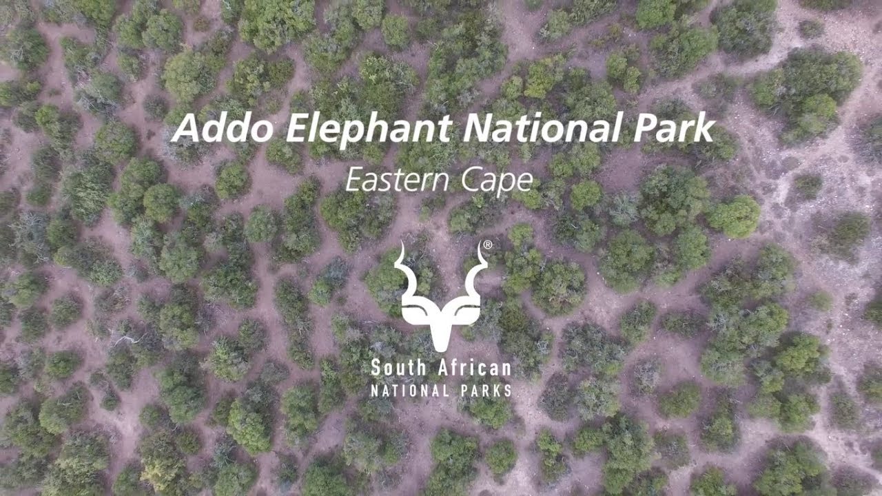 Addo Elephant National Park