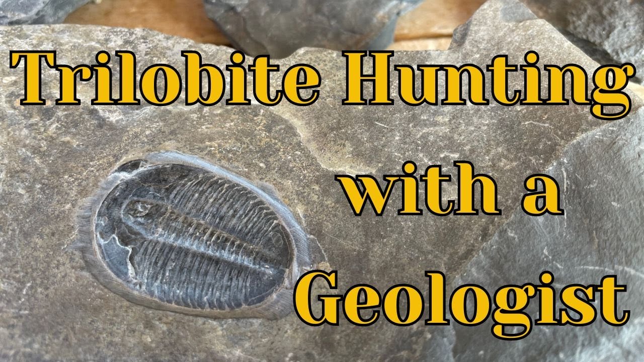 Hunting for Trilobite Fossils with a Geologist in Western Utah