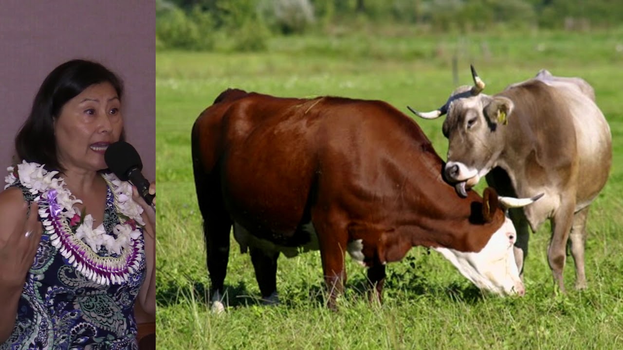 Why Be Vegan? What Animal Communication Research Can Tell Us