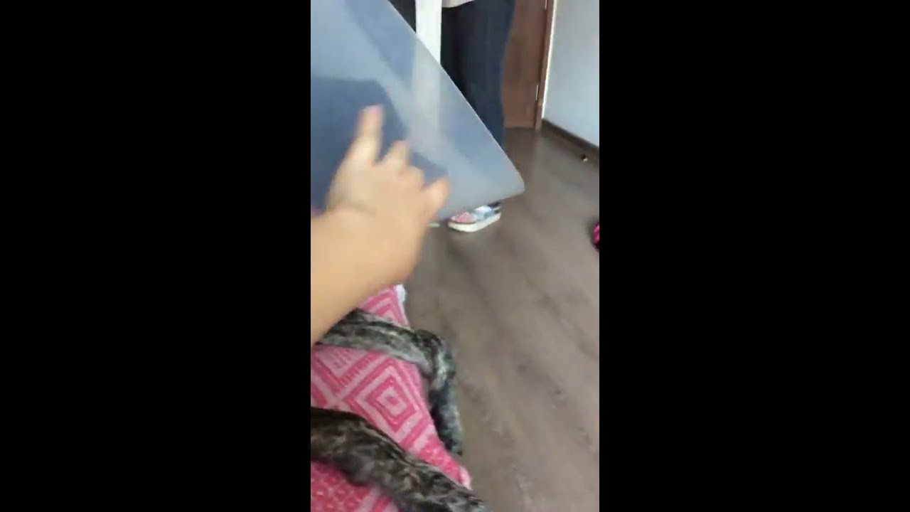 Mi perrita lame mi  pie como loca🤓🤓🤓👅🐶