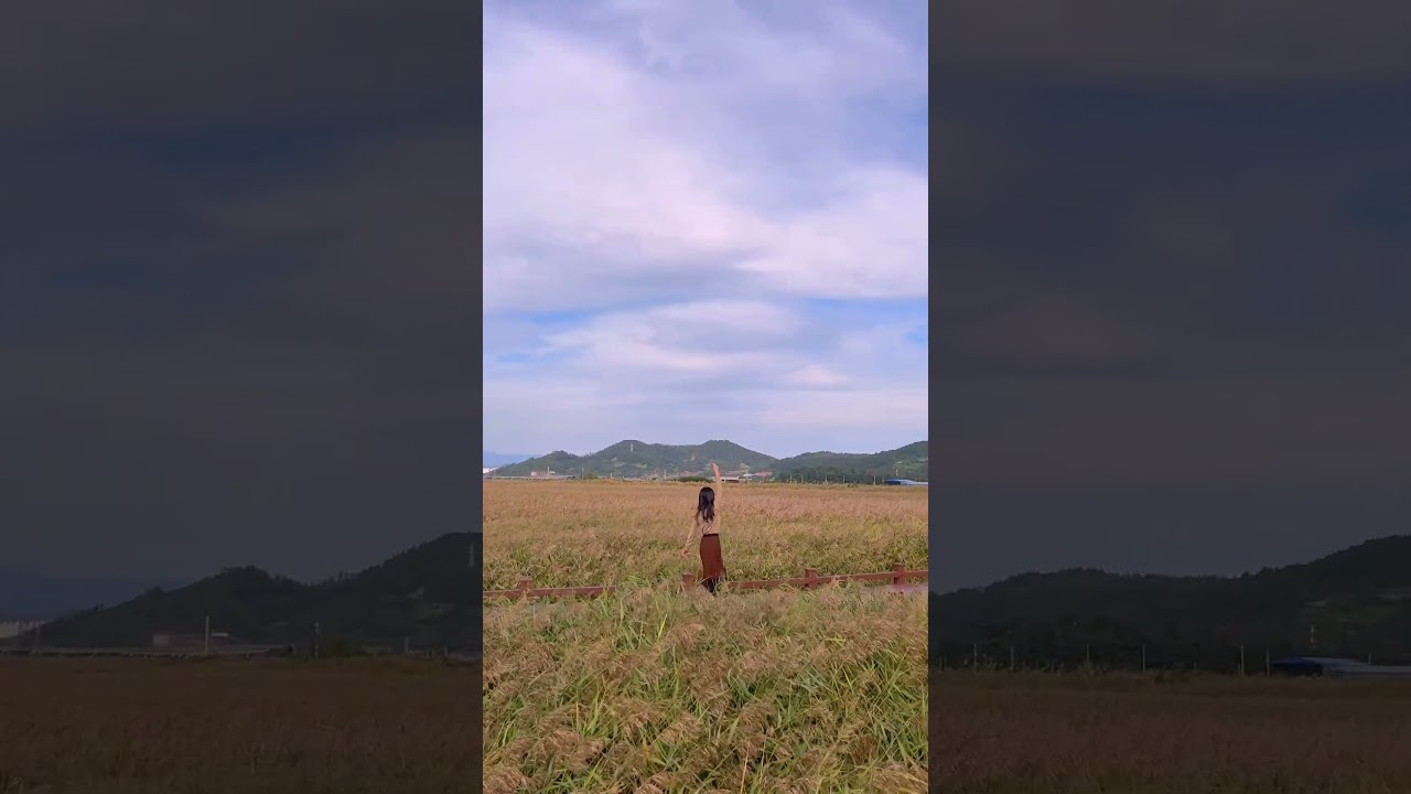 가을이 가장 아름다운 순천만습지   