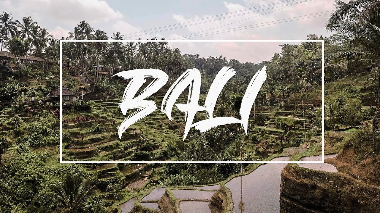 Verhaftet in Ubud I BALI VLOG 1