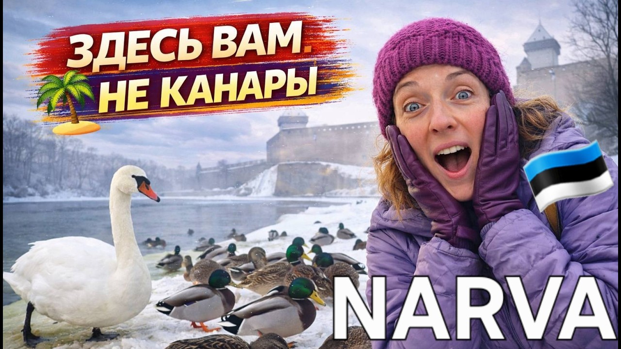 ЗДЕСЬ ВАМ НЕ КАНАРЫ! ВОСКРЕСНАЯ ПРОГУЛКА ПО НАБЕРЕЖНОЙ НАРВЫ С ЛЕБЕДЯМИ #narva #travel
