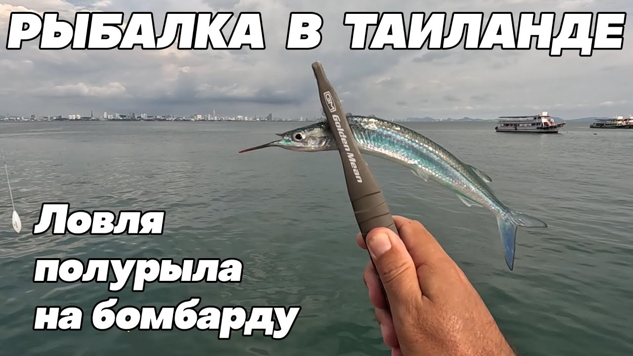 Полу-сарганы на бомбарду. Рыбалка в Паттайе (остров Ко Лан).