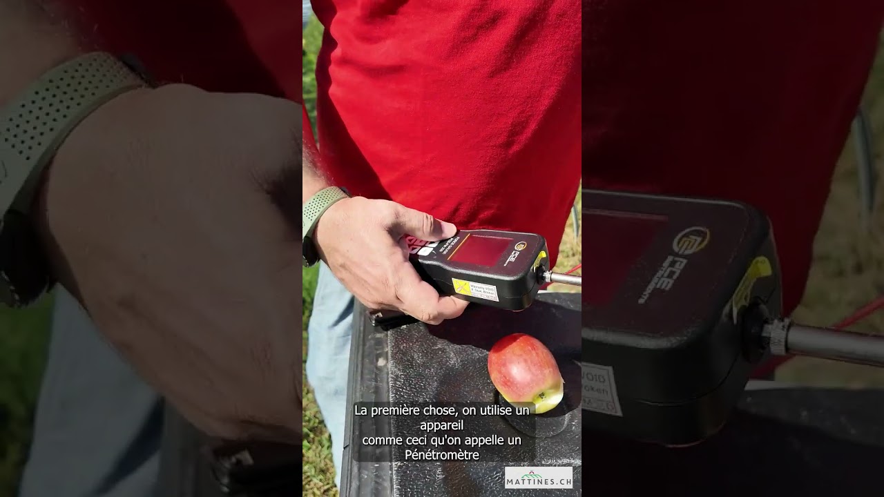 Comment déterminer le stade de récolte de nos pommes ?