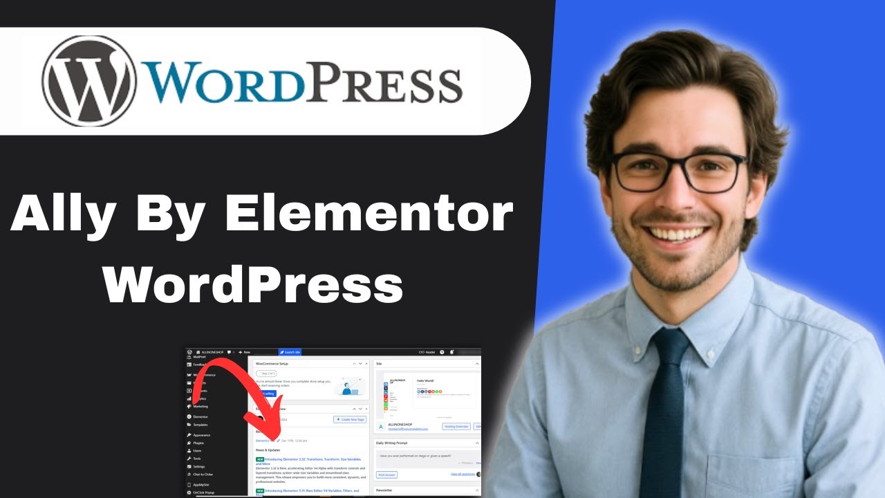 Плагин Ally от Elementor для обеспечения доступности WordPress (полное руководство)