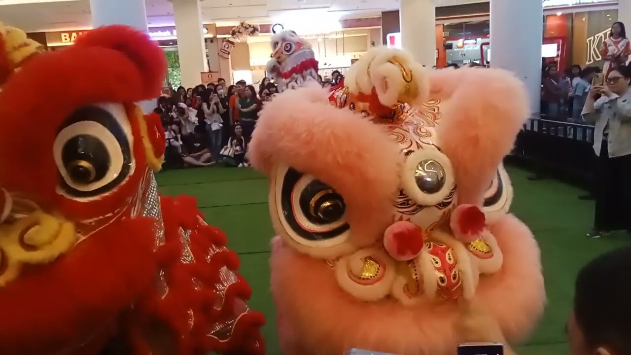 Acara atraksi tradisional barongsai Yuwen perfrmnce di center atrium gaia bumi raya city mall 