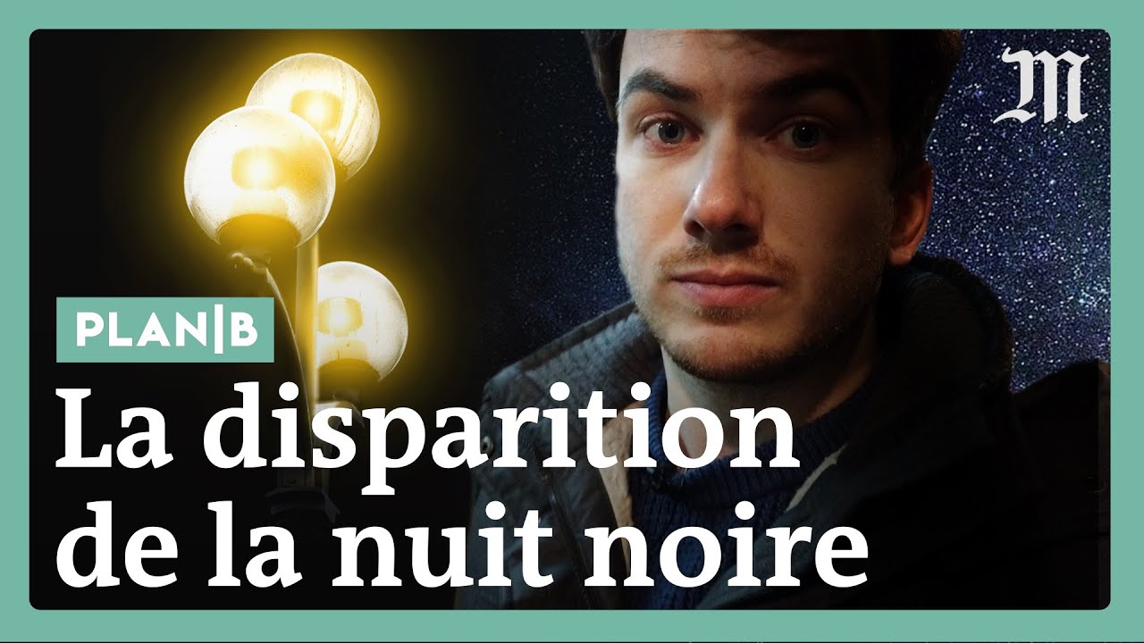 Pourquoi la lumière artificielle menace la vie animale #PlanB