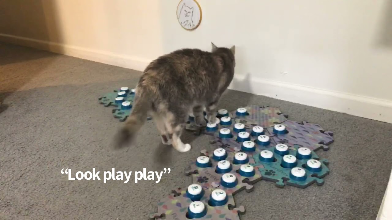 Mom! Are you watching???