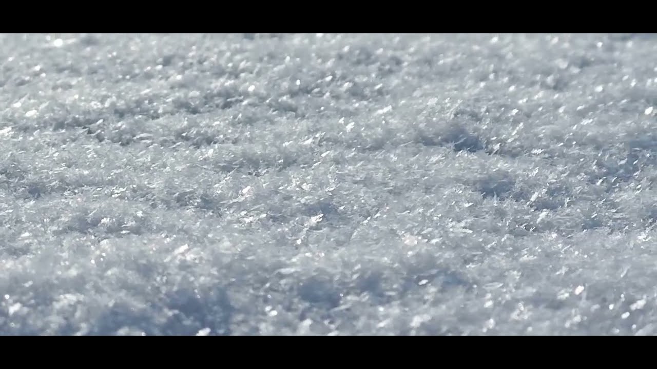 25.01.2026г