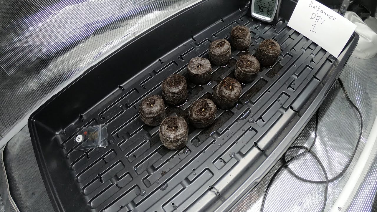 Day 1 HalfOunce GWS Marijuana Grow Update