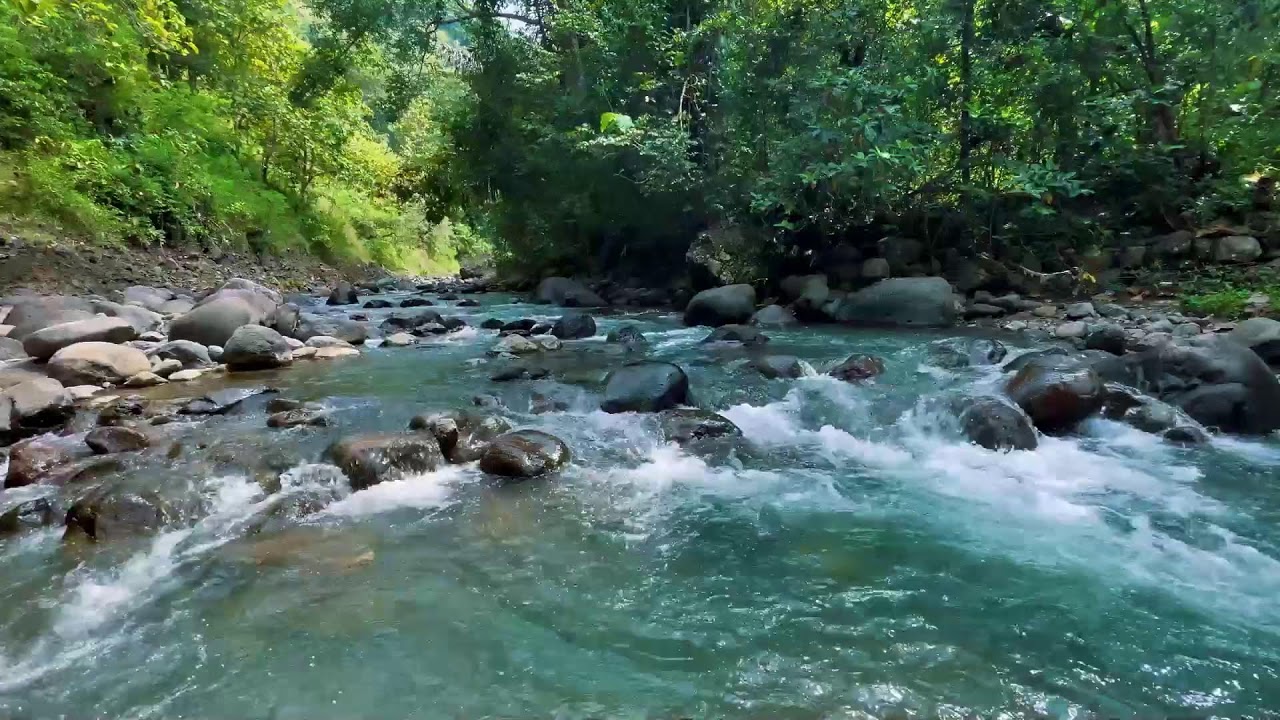 Relaxing River Sounds for Focus, Studying & A Peaceful Home 🌿 Relaxing Sleep Calming Anxiety