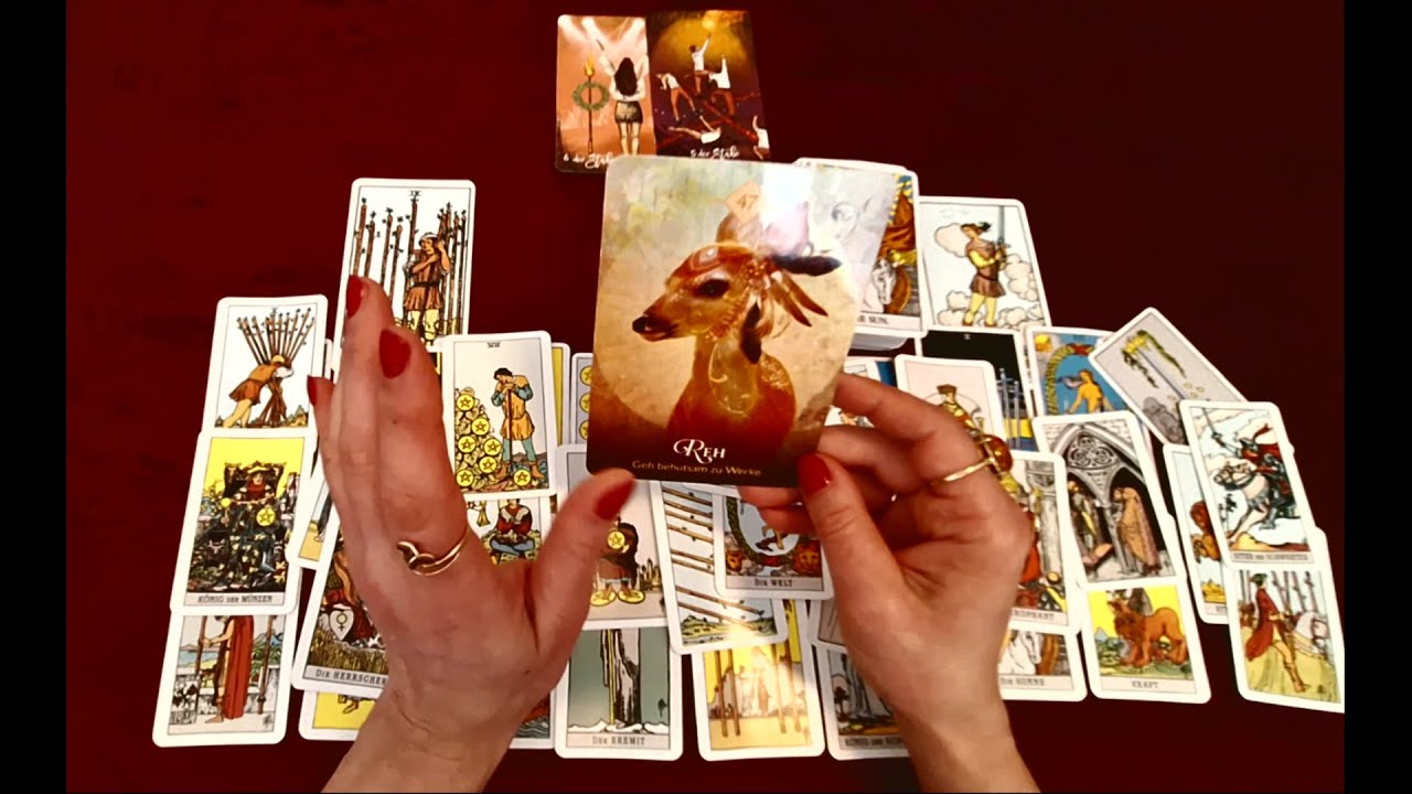 WASSERMANN 15 KW 2025 ★ Ein Neuanfang ja, aber bitte ANDERS ★ TAROT ORAKEL