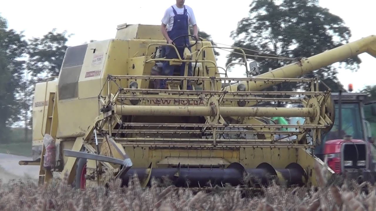 Żniwa Łubin 2015 New Holland&Massey Ferguson
