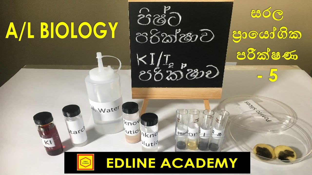 Starch Test (Potassium Iodide/Iodine Test) Biology Practicals Advanced Level Biology Sinhala Lessons