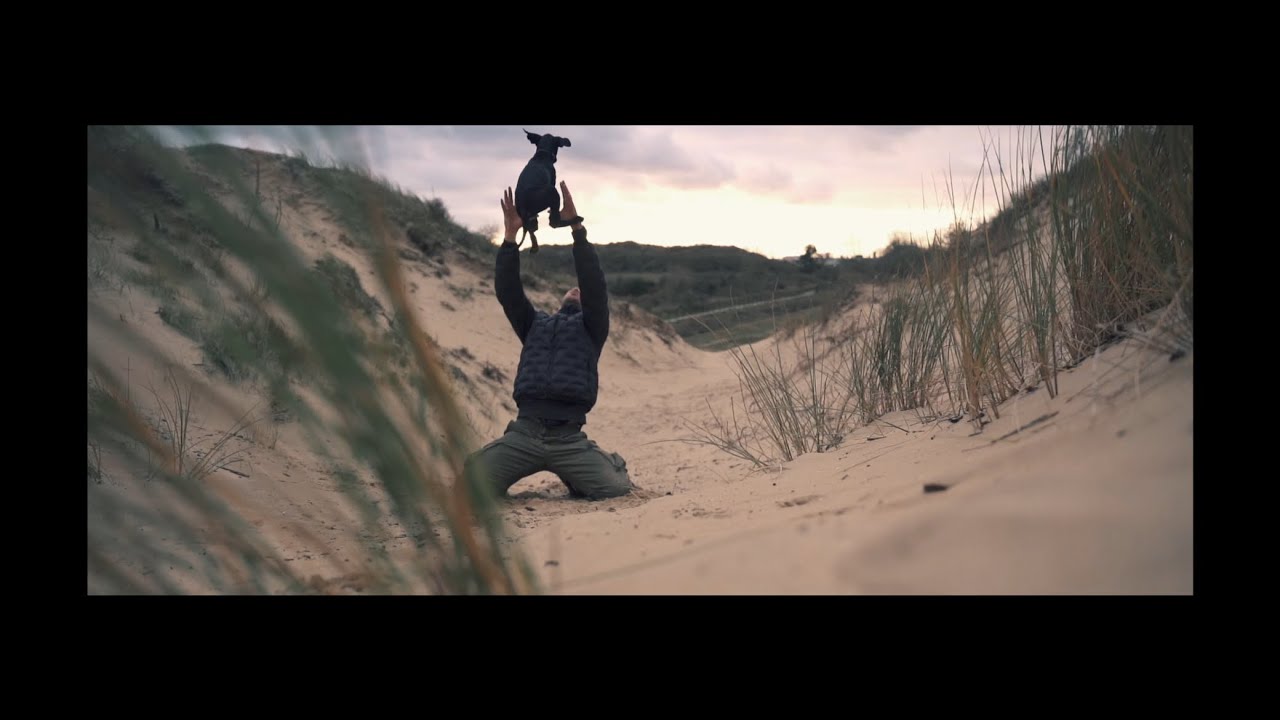 Au cœur des Dunes : L’aventure avec son chiot Eurohound