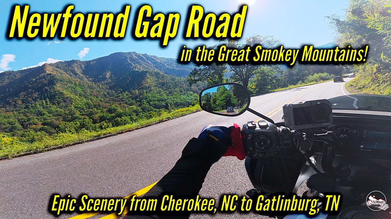 Newfound Gap Road in the Great Smokey Mountains!