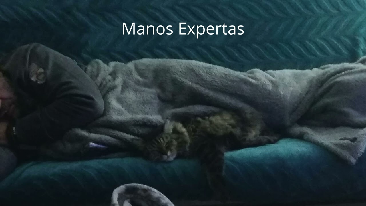 Manos Expertas