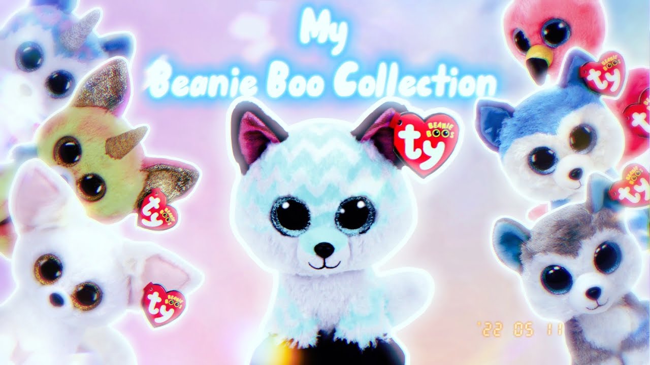 My Beanie Boo Collection 2022!