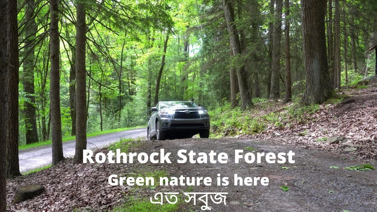 Rothrock State Forest Adventure