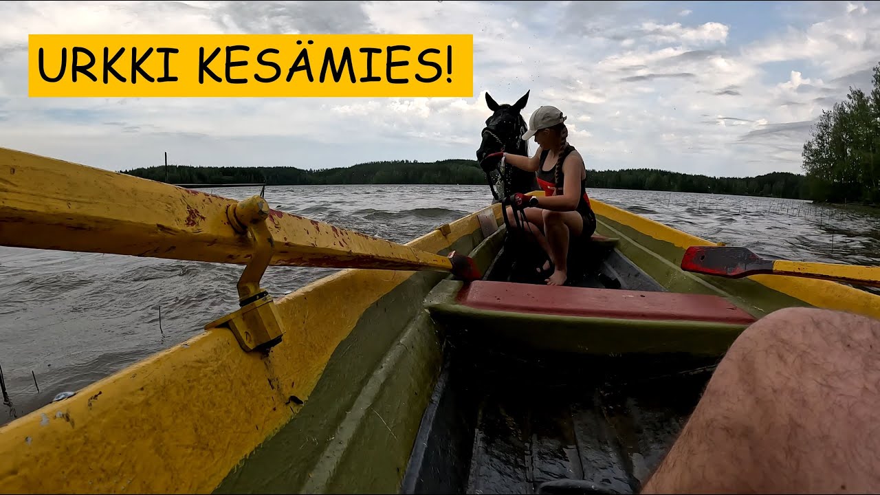 Urkki ja tammat uimassa! KESÄ!