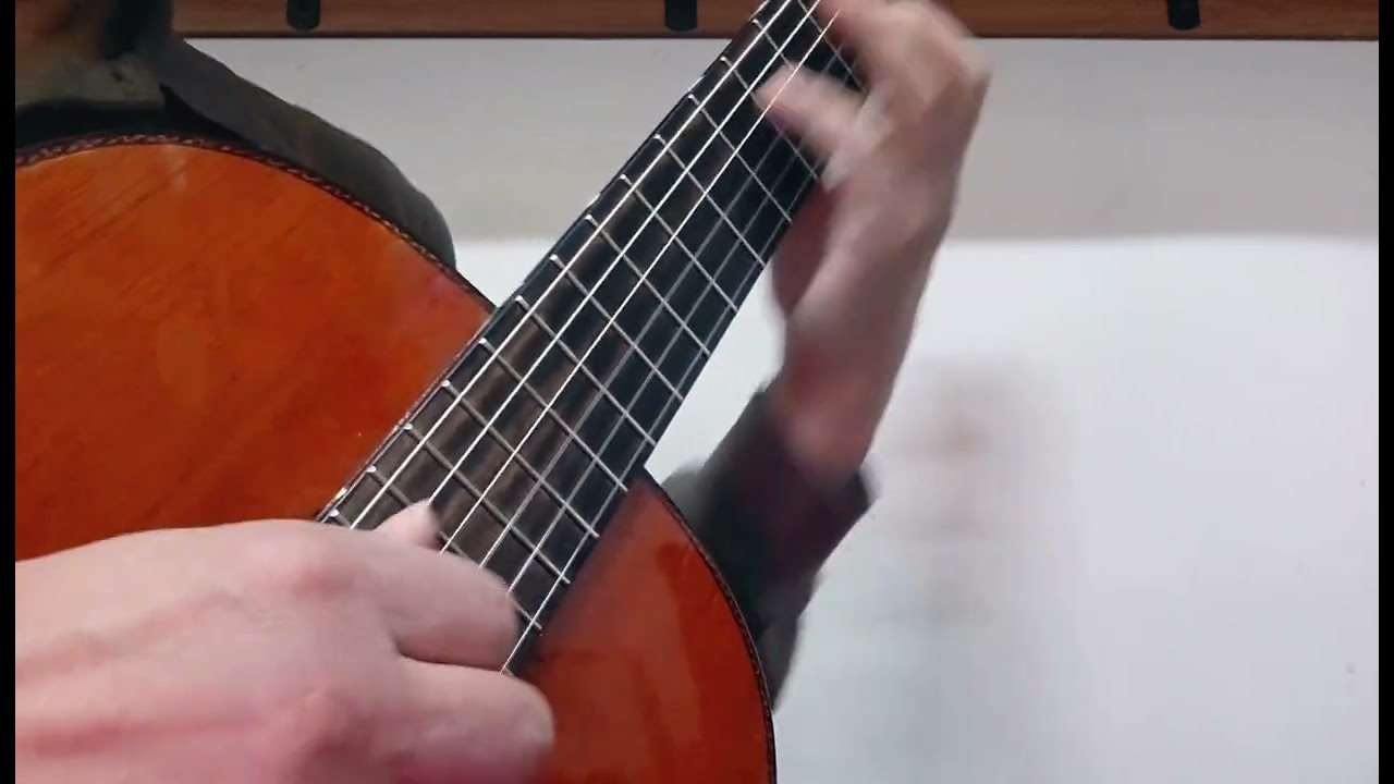 Sarabande ( from Partita no.1 for solo violin , BWV 1002 ) ........ Johann  Sebastian  Bach