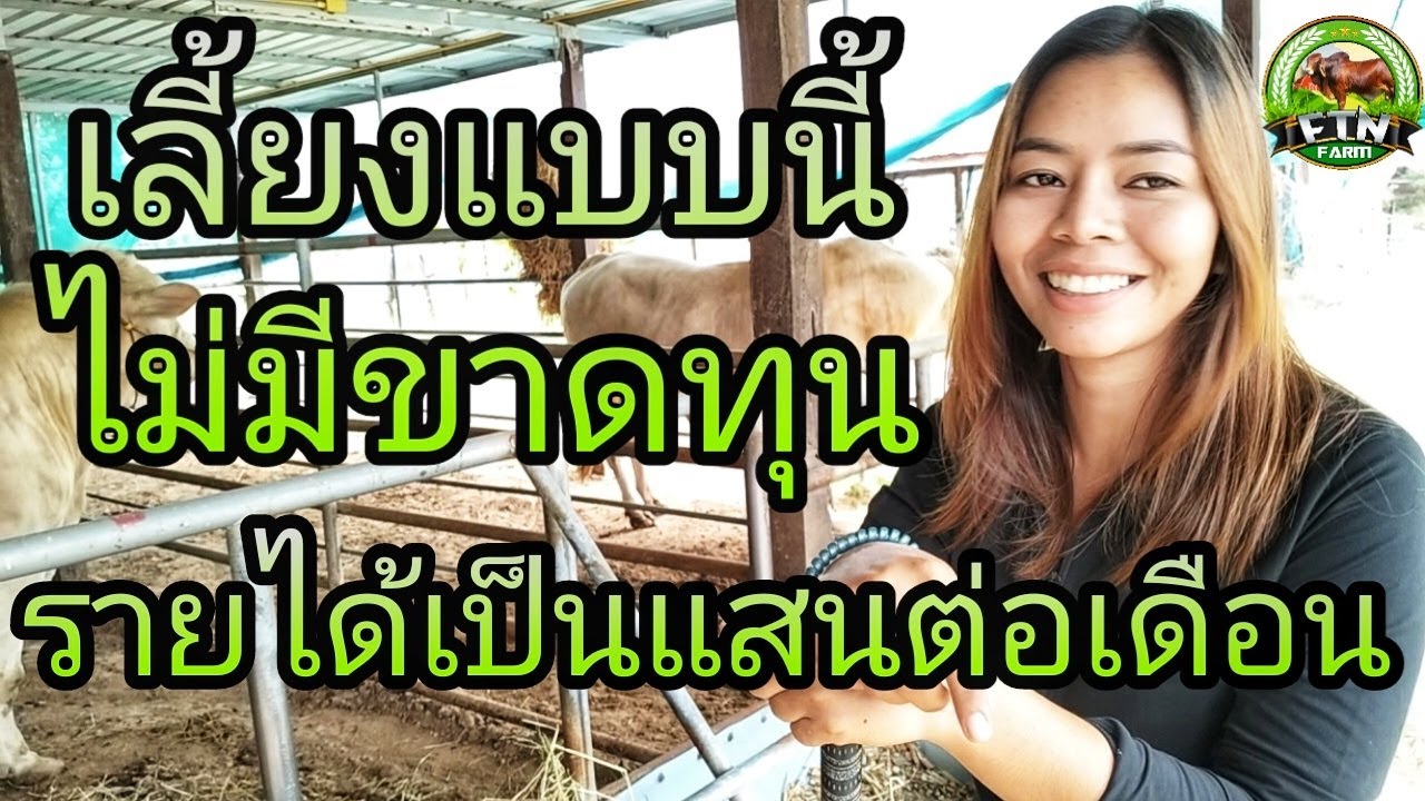 เลี้ยงแบบนี้รวยแน่นอนไม่ขาดทุนเพราะอะไรถึงทำแบบนี้ถึงสำเร็จในอาชีพนี้