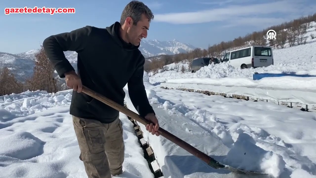 Bitlis Hizan’da arıcılar kovanlarını aylarca kar altında tutuyor
