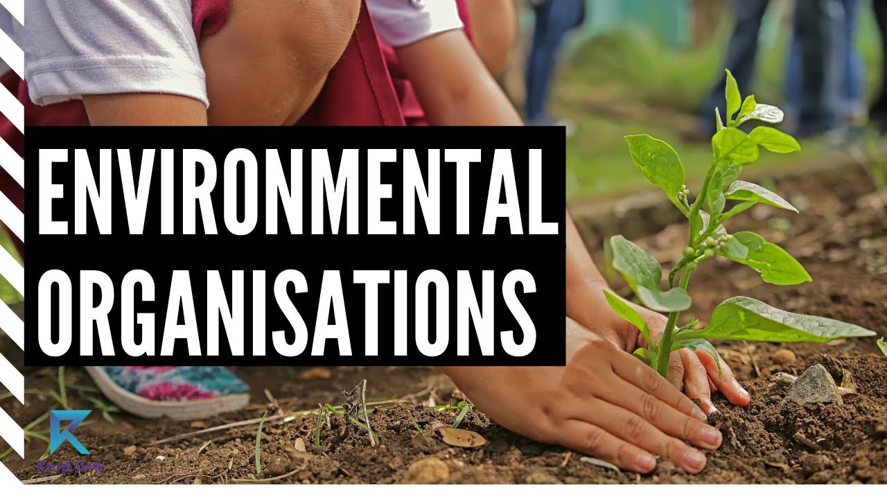 Environmental Organizations In India | Rough Book
