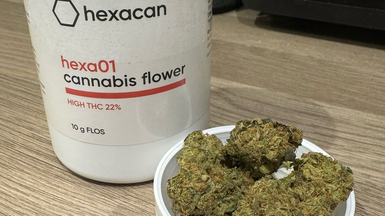 HEXACAN HEXA01 MANGO THC 22% Medical Sativa Hybrid Cannabis Flower