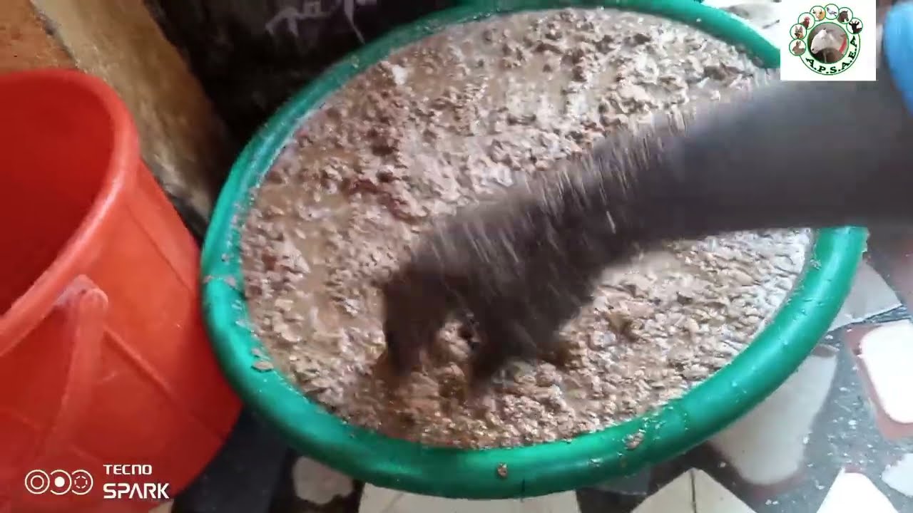 Comment ajouter des nutriments Sel et miel  pour nourrir ses moutons Ladoum