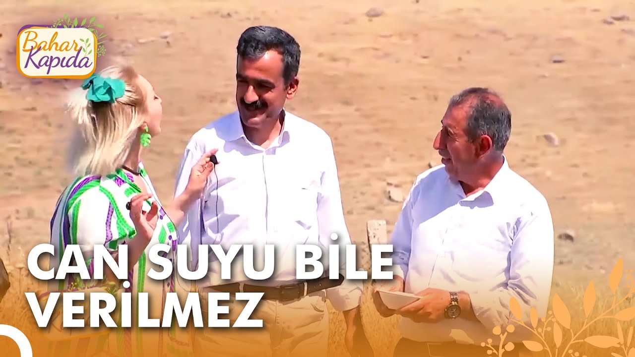 1 Damla Su Görmeden Yetişen Cizre Kavunu 😯 | Bahar Kapıda