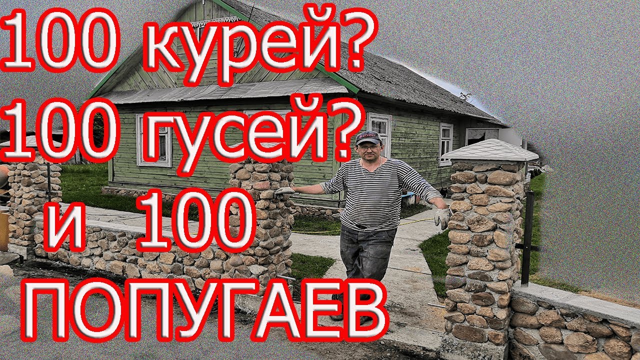 Разведение попугаев.Моя дача.