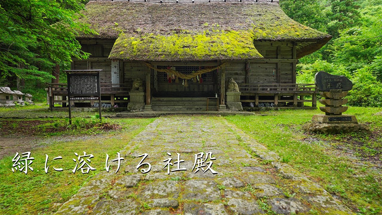 安久津八幡神社【自然と一体となる苔むした茅葺屋根】
