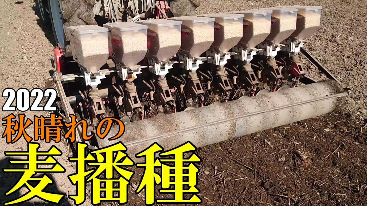 【2022】【麦播種】天候に恵まれ晴天下での麦播き。＜ビール麦＞＜ニューサチホゴールデン＞