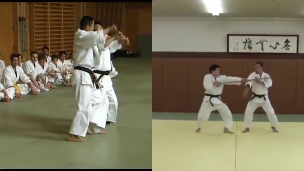 Koryu Dai San no Kata Comparison