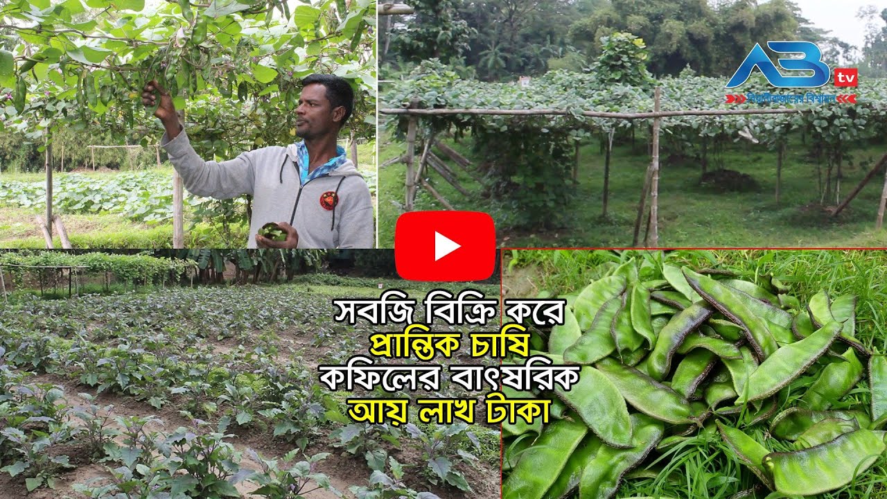 নিরাপদ সবজি চাষে দুই যুবকের সাফল্য।। ABtv News Beanibazar