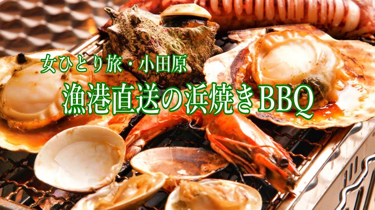 【旅vlog】小田原の漁港に楽しすぎるグルメスポット発見