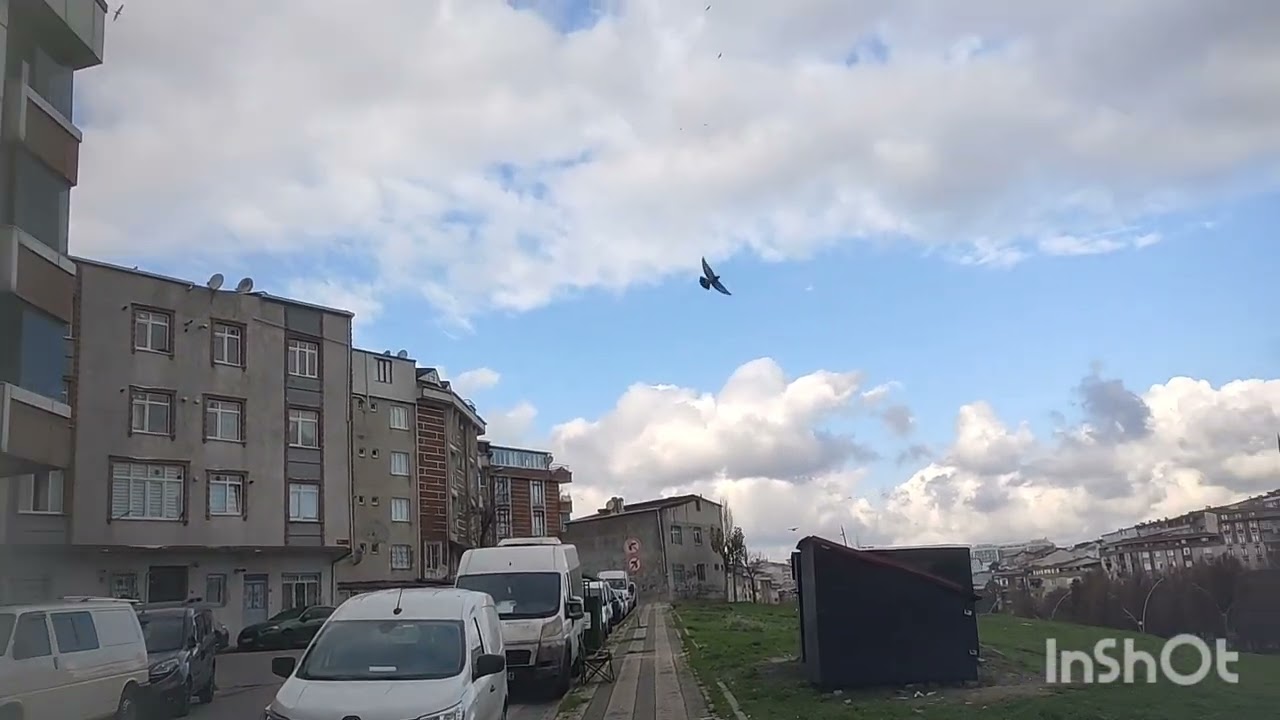 Dumanlı paşa  dan güzel bir uçuş daha 🕊️🕊️🕊️