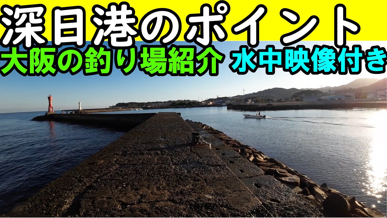 深日港の釣り場を水中映像付きで紹介！大阪の人気の釣りスポットを解説